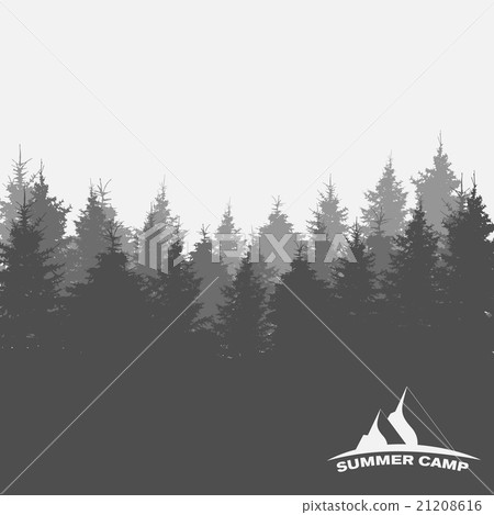 Summer Camp. Image of Nature. Tree Silhouette 21208616