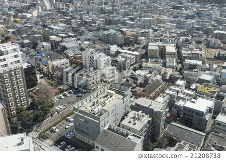Tokyo urban landscape overlooking Nerima-ku Itabashi-ku residential area condominiums and detached houses densely 21208738