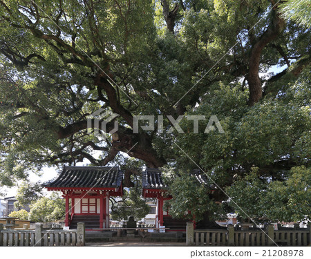 Shikoku Buddha 75th Buddhist 'Zentsuji' five companies of the East Hall Meigami and Otsuni Shikoku Buddha 75th Buddhist 'Zentsuji' five companies of the East Hall Meigami and Otsuni 21208978