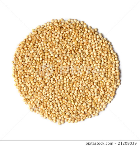 white quinoa seeds 21209039