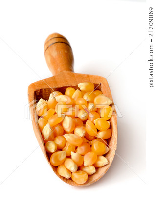 corn grains close up 21209069