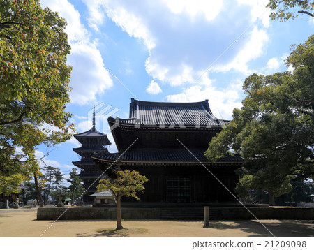 Shikoku Buddha 75th Buddhist "Zentsuji" Higashiin no Konto (main temple) and five-storied pagoda 21209098