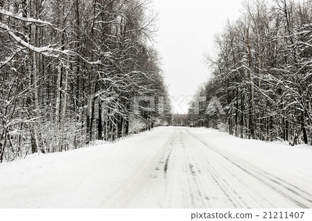 Winter road in the forest 21211407