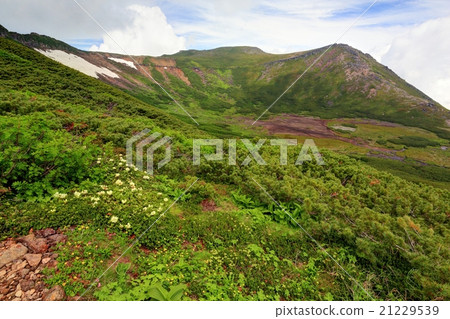 Mt. Ontake·四池和Tokagake 21229539