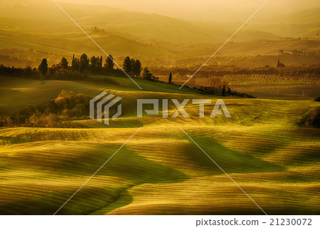 Wavy fields in Tuscany Wavy fields in Tuscany 21230072