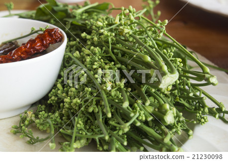 neem leaf food plate neem leaf food plate 21230098