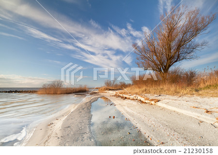 blue sky in evening by Ijsselmeer lake blue sky in evening by Ijsselmeer lake 21230158