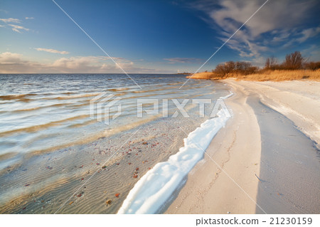 sunny evening on Ijsselmeer lake coast sunny evening on Ijsselmeer lake coast 21230159