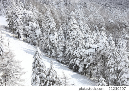 多雪的山的看法 21230207