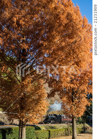 Moka Tetsudo的SL 21231909