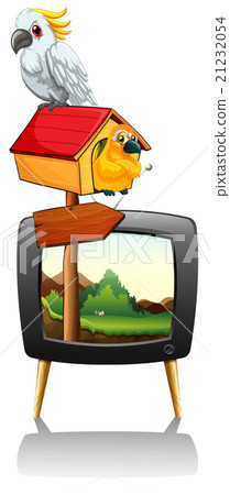 Parrots on television screen Parrots on television screen 21232054