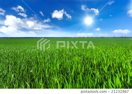 Green field Green field 21232867