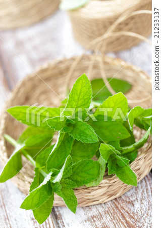 Mint Mint 21233137