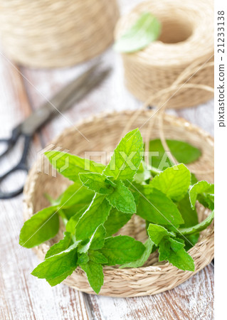 Mint Mint 21233138