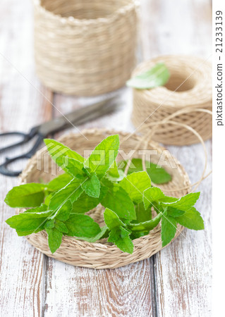 Mint Mint 21233139