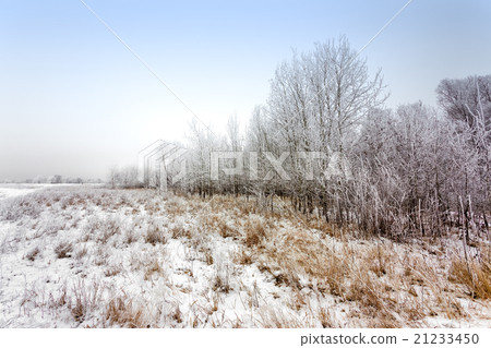 Winter landscape Winter landscape 21233450