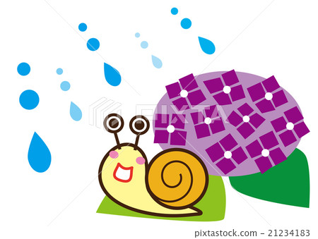 Rainy season snail and hydrangea 21234183