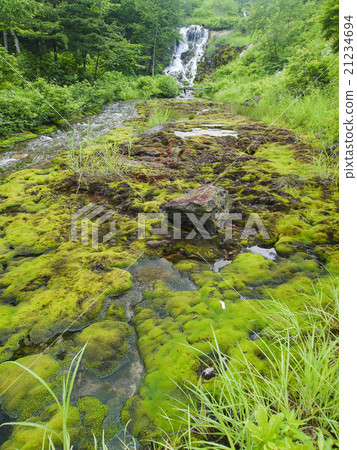 Chae Bongweed（垂直）的流動 21234694