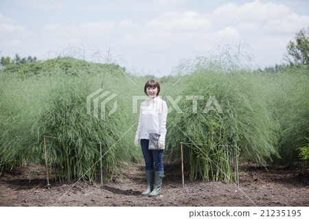 Agriculture women Agriculture women 21235195