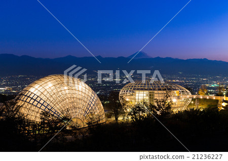 Fuegakigawa Fruit Park夜景 Fuegakigawa Fruit Park夜景 21236227