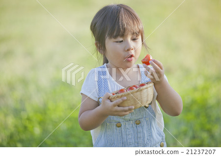 家庭園藝 21237207