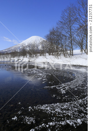 Frosted flowers and Mt. Yotei Frosted flowers and Mt. Yotei 21237731