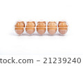 Eggs in plastic box on a white background 21239240