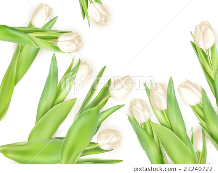 Bouquet of white tulips. EPS 10 21240722