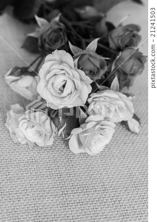 Roses flower in black and white Roses flower in black and white 21241503