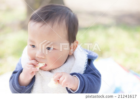 baby, infant, picnic 21241617