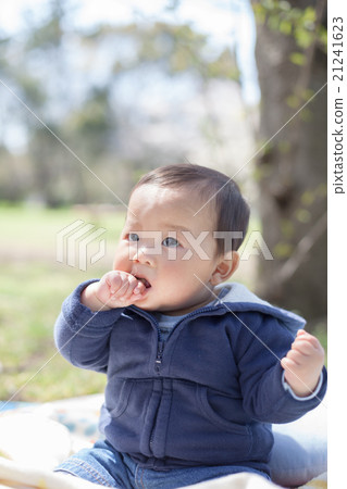 baby, infant, picnic 21241623