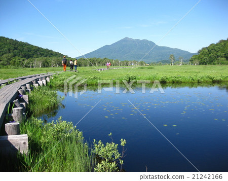 這是一個受歡迎的高原,周圍環繞著雄偉的山脈,如富士山和以Ozenuma和Ozekehara為中心的Mt.Kakeki。如果 這是一個受歡迎的高原,周圍環繞著雄偉的山脈,如富士山和以Ozenuma和Ozekehara為中心的Mt.Kakeki。如果 21242166