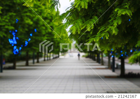 遙遠的看法 遙遠的看法 21242167