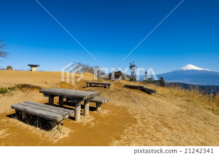 Hamaishidake（15） 21242341