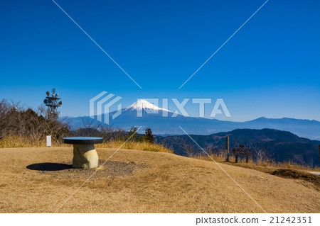 Hamaishidake (22) Hamaishidake (22) 21242351