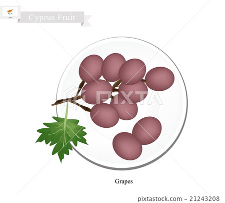 Ripe Grape, A Popular Fruit in Cyprus 21243208