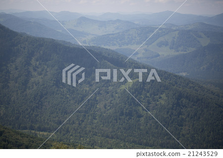 Green hills of Altai Green hills of Altai 21243529