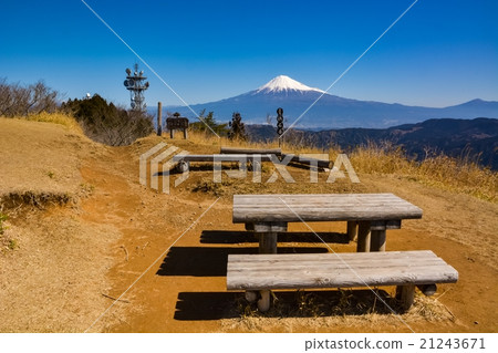 Hamaishidake（42） 21243671