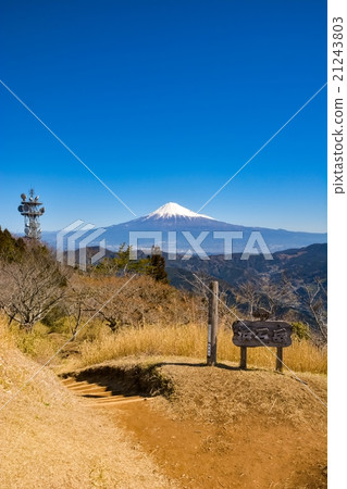 Hamaishidake(45) Hamaishidake(45) 21243803