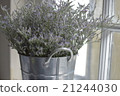 Bucket flower 21244030