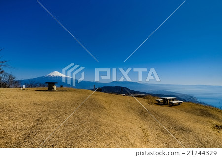 Hamaishidake(57) Hamaishidake(57) 21244329