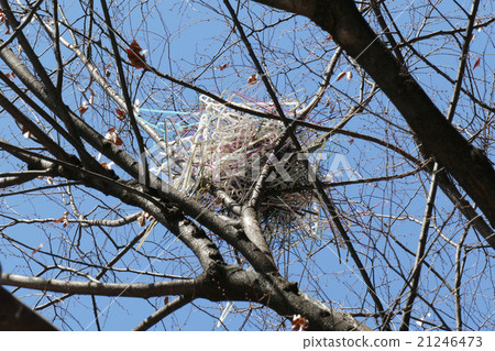 Crow's nest made of hanger 21246473