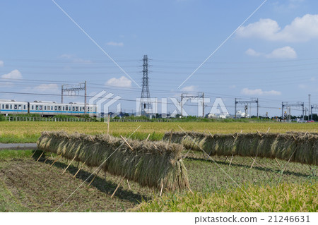 Odakyu Line 2000 Form near Tsurumi Onsen 21246631