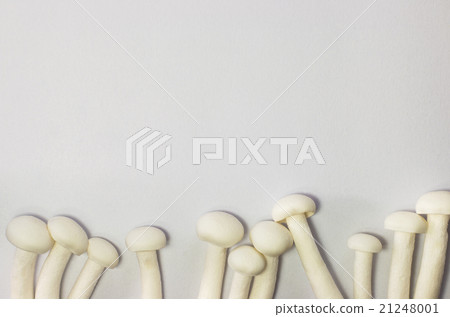 White Shimeji mushroom flat lay 21248001