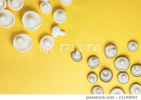 Brown and white Shimeji mushroom flat lay 21248002