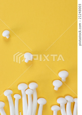 White Shimeji mushroom flat lay 21248003