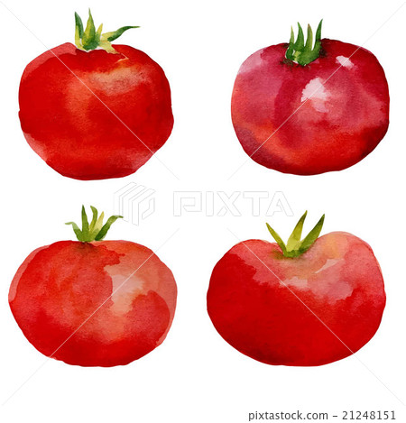 Watercolor set  tomatoes. 21248151