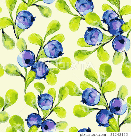 Seamless pattern with blueberries.  21248153