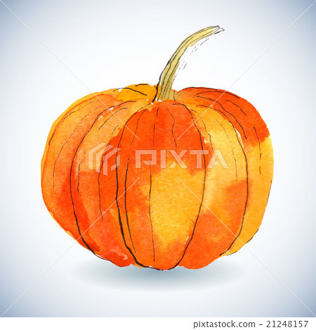 Watercolor pumpkin on white background. Watercolor pumpkin on white background. 21248157