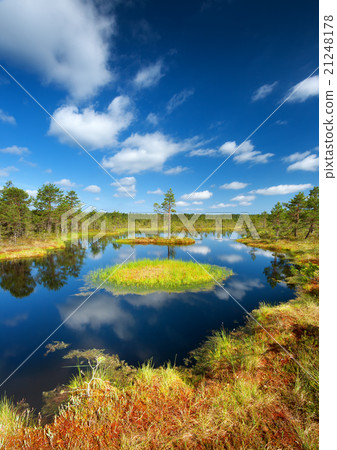 Viru bogs at Lahemaa national park Viru bogs at Lahemaa national park 21248178
